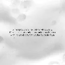 RECONS-W2_02.webp