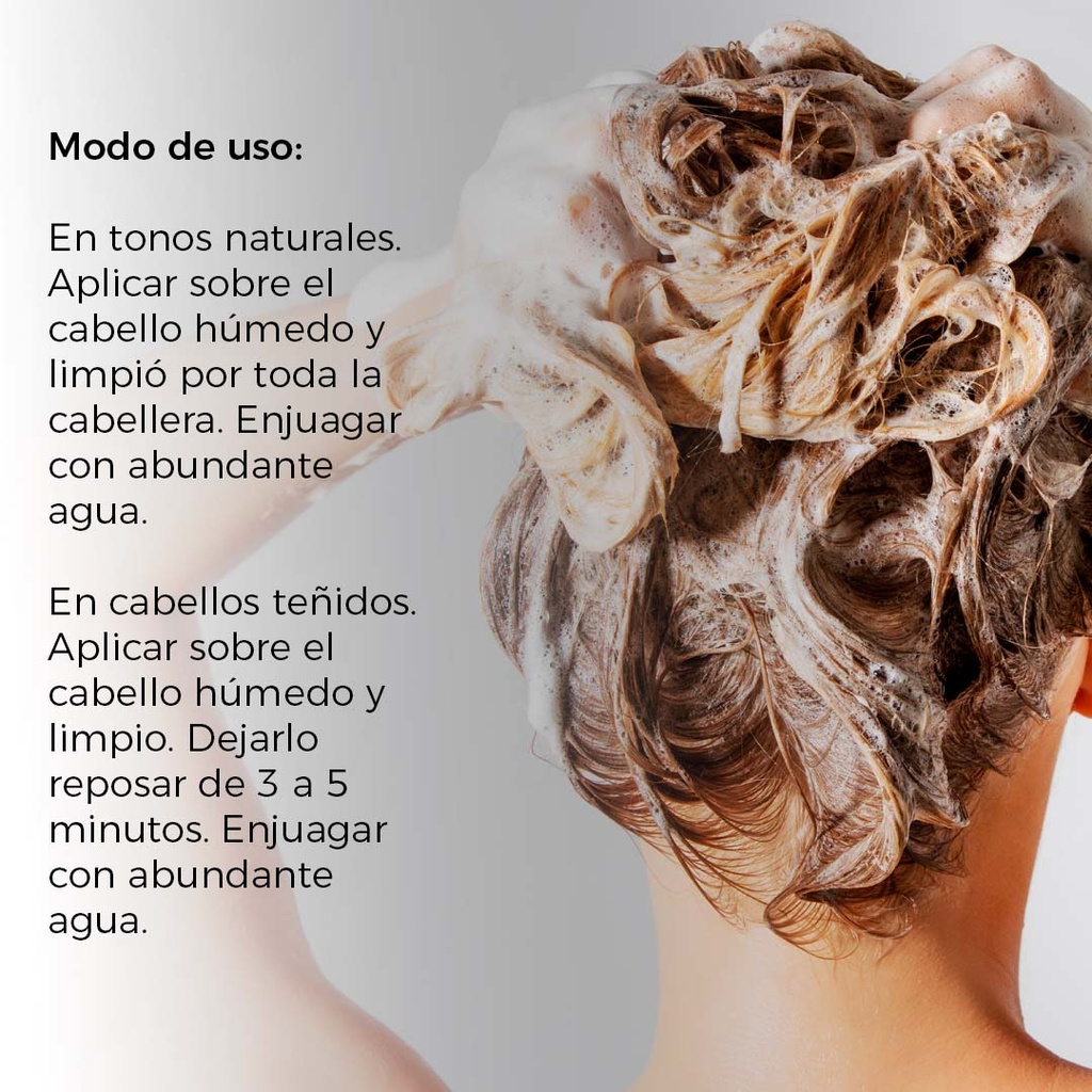 SHAMPOO WOTT MATIZADOR GRAY 300 ML