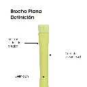 BLF12_3.webp