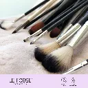 BRUSH-LF_04.webp