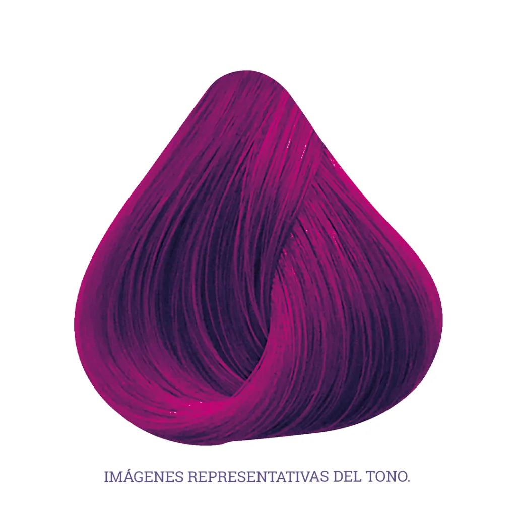 CFMAGENTA-Lotus_02.webp