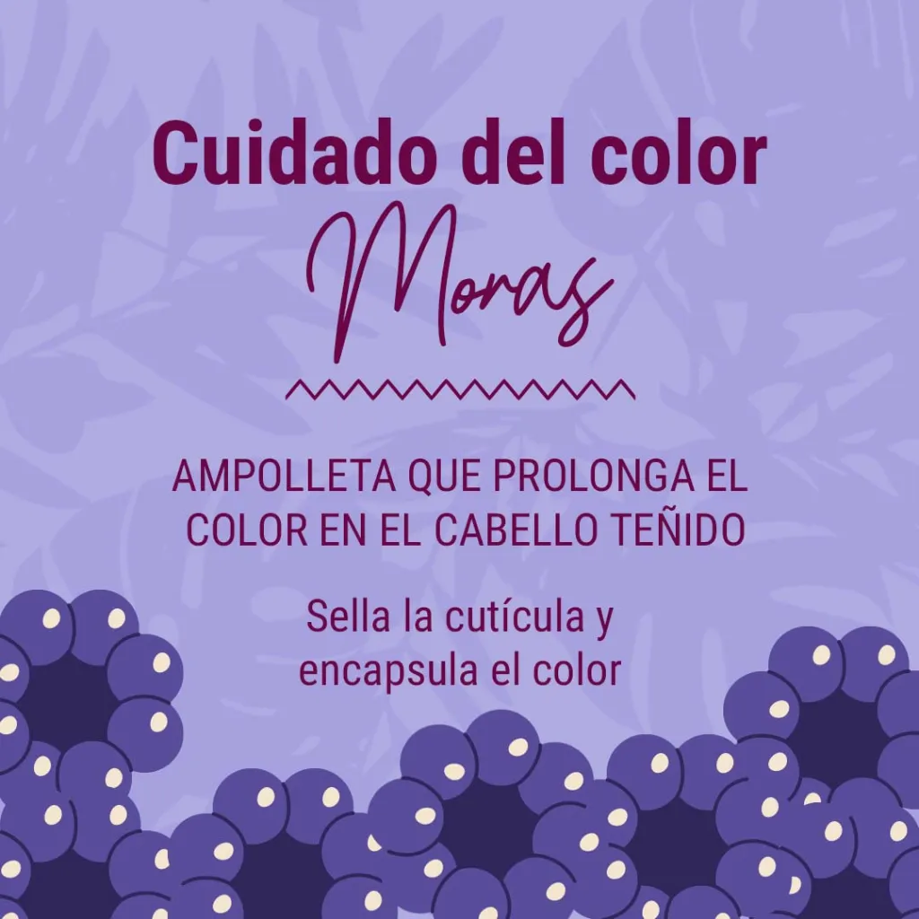AC-CUID-ampolleta-cuidado de color-moras_03.webp