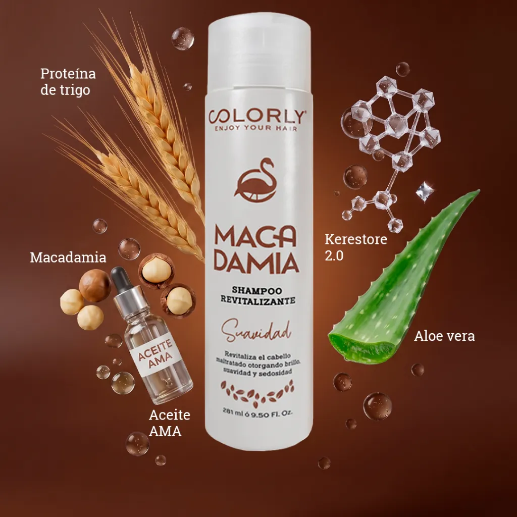 CMS-shampoo-macadamia-colorly_03.webp
