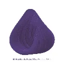 CFMORADO-Enigma_02.webp