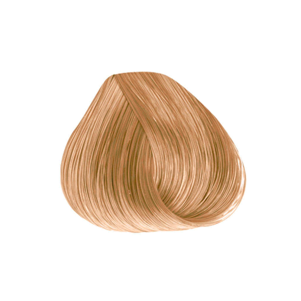 TINTE MAJIREL 47.5 GR N-10