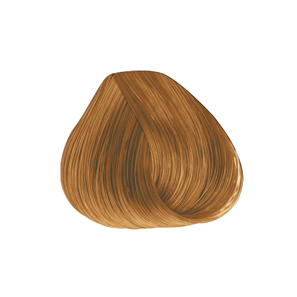 TINTE MAJIREL 47.5 GR N-9