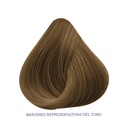 TINTE COLORLY 6.22 RUBIO OBSCURO NACARADO